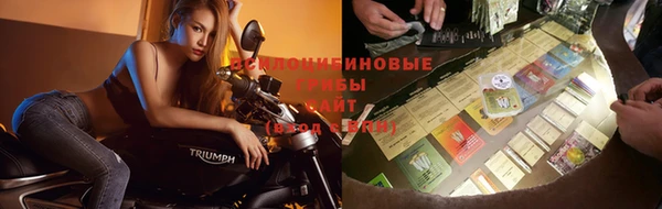 винт Туринск